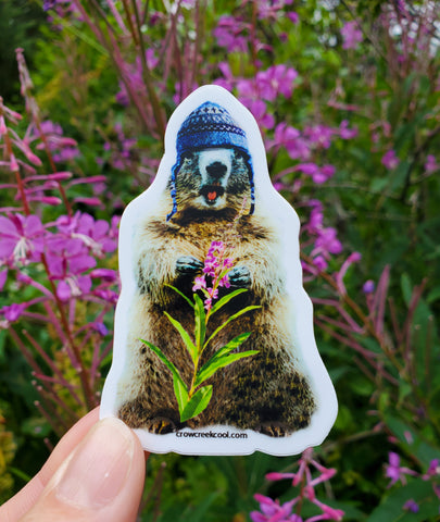 Mini Wooly Marmot with Alaska Fireweed Sticker